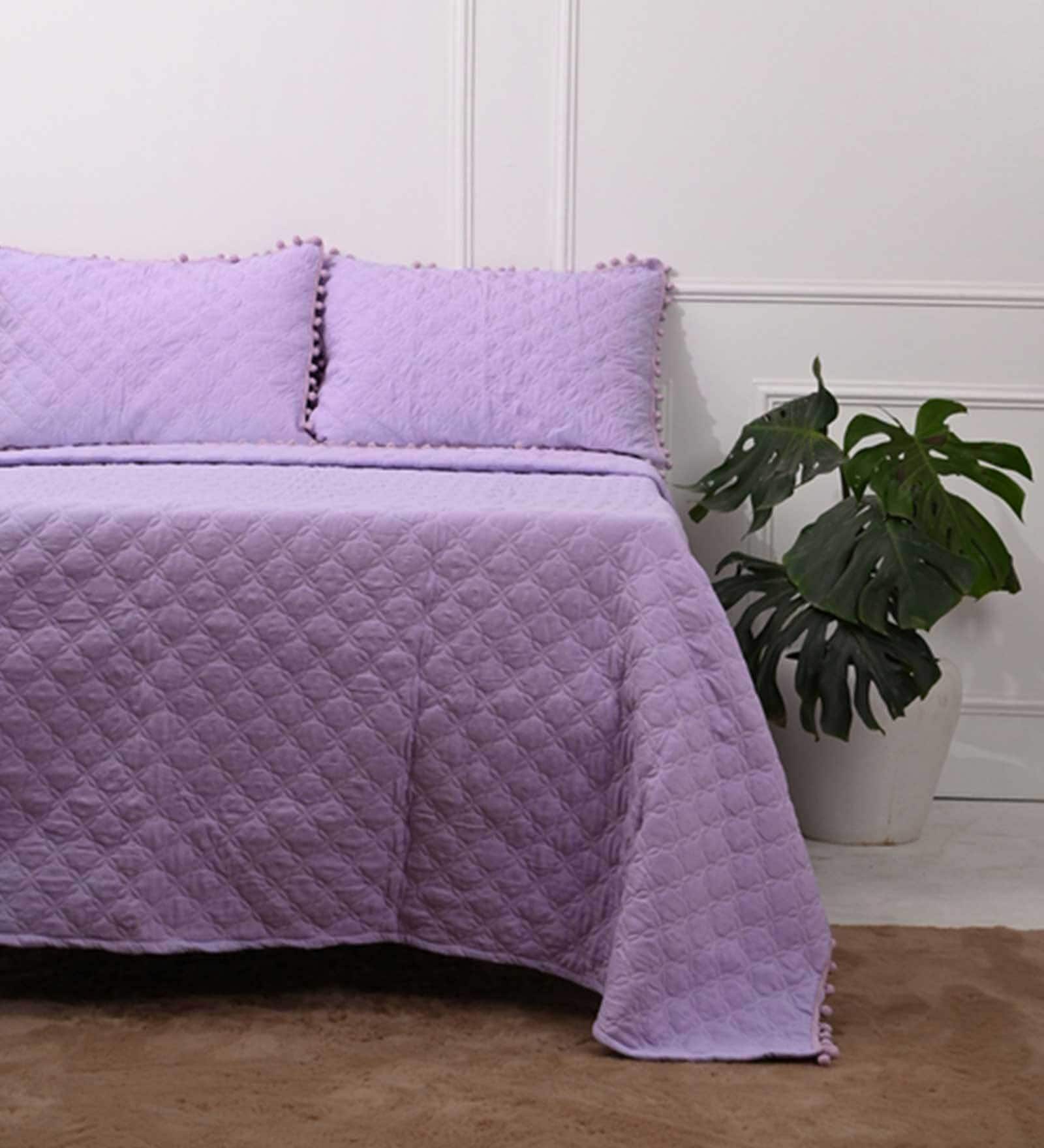 Buy Lavender Solid 1000 TC Cotton King Sized Bed Sheets with 2 Pillow