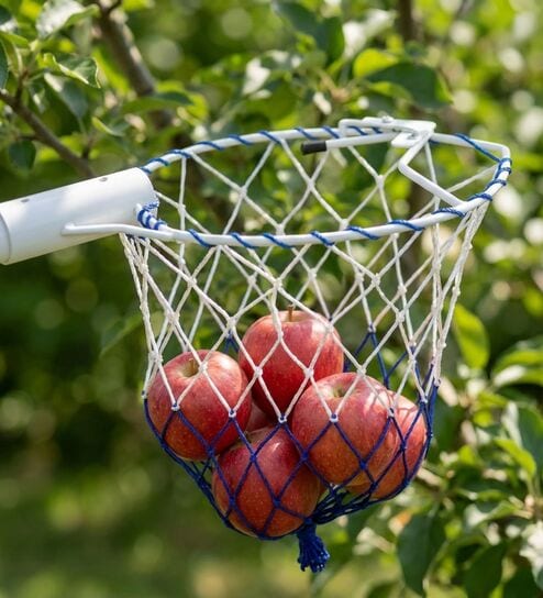 Blue And With Fruit Picker Head with Net