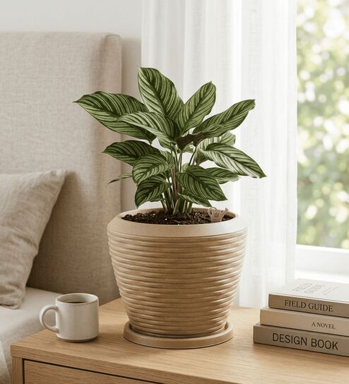 LAVA Beige 12 Inch German Polymer Round Plant Container With Saucer