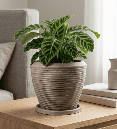 LAVA Choco Brown 12 Inch German Polymer Round Plant Container With Saucer