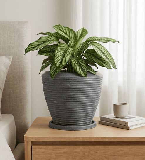 LAVA Grey 12 Inch German Polymer Round Plant Container With Saucer