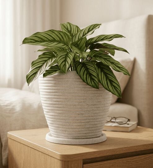 LAVA Marble White 12 Inch German Polymer Round Plant Container With Saucer