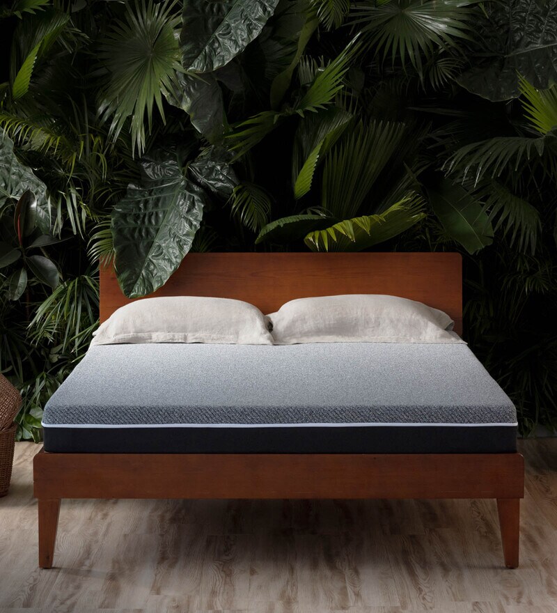 Buy Laxe 8 inch Latex Queen Size Mattress Online Queen Size Latex