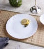 Diva Plain Opalware Dinner Plates