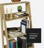 Ladder Bookshelf In Natural Finish