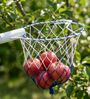 Blue And With Fruit Picker Head with Net