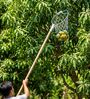 Blue And With Fruit Picker Head with Net
