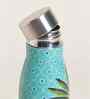 Lady Chettiar Steel Sipper
