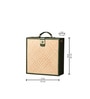 Laether Portable Bar in Olive Green Colour