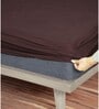 Laika (75X72) Terry Cotton King Size Mattress Protector in Brown Colour