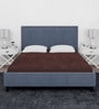 Laika (75X72) Terry Cotton King Size Mattress Protector in Brown Colour
