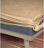 Laika (75X42) Terry Cotton Queen Size Mattress Protector in Beige Colour