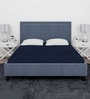 Laika (78X60) Terry Cotton Queen Size Mattress Protector in Blue Colour