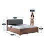 Lannister Grey Queen Hydraulic Storage Bed in Brown Colour