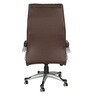 Lape Leatherette Ergonomic Chair in Brown Colour