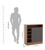 Lara 2 Door Shoe Rack In Walnut Brown Finish