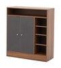 Lara 2 Door Shoe Rack In Walnut Brown Finish
