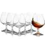 Lara Set of 6 Crystal Lead Free Glass 330ml Martini Glasses
