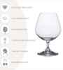 Lara Set of 6 Crystal Lead Free Glass 330ml Martini Glasses
