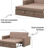 Lara Sofa Cum Bed In Beige Colour