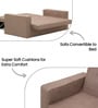 Lara Sofa Cum Bed In Beige Colour