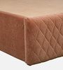 Larayne Velvet Upholstered King Size Bed In Light Brown color With Box Storage