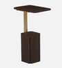 Larena Solid Wood End Table In Walnut & Brass Finish