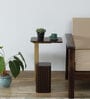 Larena Solid Wood End Table In Walnut & Brass Finish