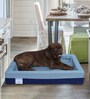 Avalee- Large Blue Fabric Pet Bed