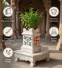 Large Ceramic Tulsi Planter