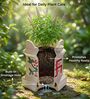 Large Ceramic Tulsi Planter