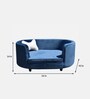 Extra Large Pet Sofa Size In blue