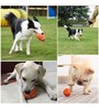 Latex Material Squeaky Dog Toy in  Orange Colour