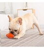 Latex Material Squeaky Dog Toy in  Orange Colour