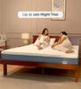 Latexcore Support With Pincore Hole Orthopedic Dual Side 10 Inch Single Size (With 1 Free Memory Foam Pillow)
