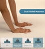 Latexcore Support With Pincore Hole Orthopedic Dual Side 6 Inch Queen Size Mattress (With 2 Free Memory Foam Pillows)