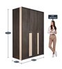 Laurel 3 Door Wardrobe in Dark Brown & White Oak Colour