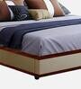 Laurel Upholstered Queen Size Bed In Cream Colour
