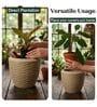 LAVA Beige 12 Inch German Polymer Round Plant Container With Saucer