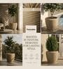 LAVA Beige 12 Inch German Polymer Round Plant Container With Saucer