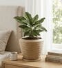 LAVA Beige 12 Inch German Polymer Round Plant Container With Saucer