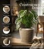 LAVA Beige 12 Inch German Polymer Round Plant Container With Saucer