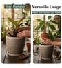 LAVA Choco Brown 12 Inch German Polymer Round Plant Container With Saucer