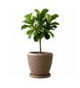 LAVA Choco Brown 12 Inch German Polymer Round Plant Container With Saucer