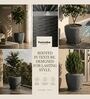 LAVA Grey 12 Inch German Polymer Round Plant Container With Saucer