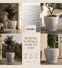 LAVA Marble White 12 Inch German Polymer Round Plant Container With Saucer