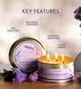 Lavender 3 Wick Scented Candle in Container with Lid