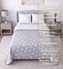 Lavender Cotton Floral 300 GSM Double Bed Reversible Dohar