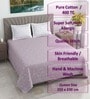 Lavender Floral 400 TC Cotton Queen Size Flat Bedsheet With 2 Pillow Covers
