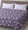 Lavender Floral 400 TC Cotton Super King Bedsheet with 2 Pillow Covers Luxury Series Collection